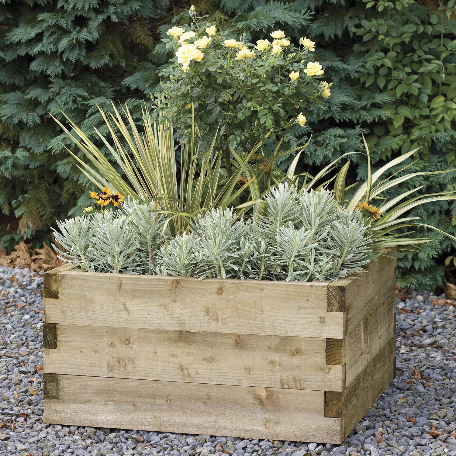 Forest Caledonian Square Raised Bed
