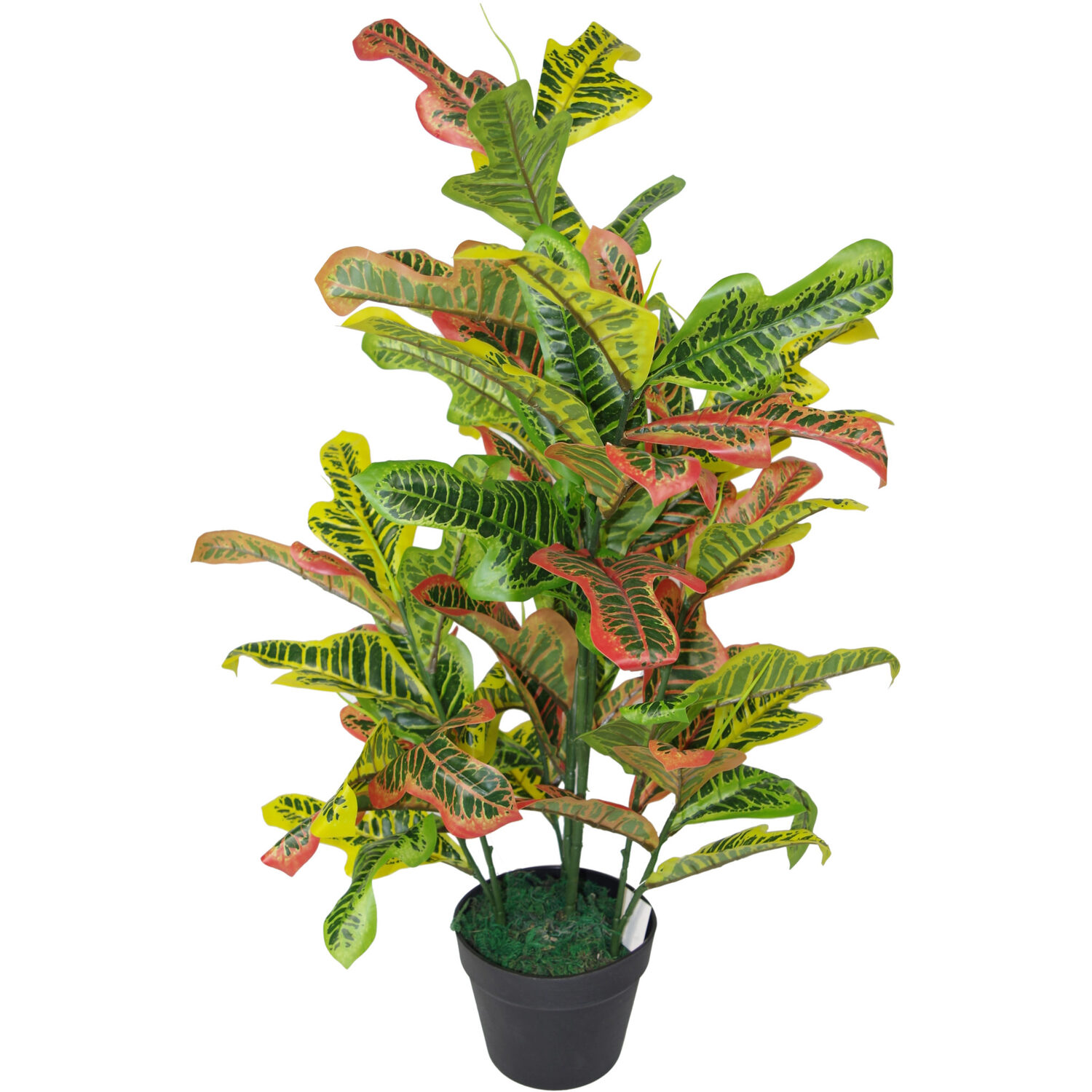 Artificial Codiaeum Multicoloured House Plant - Large - Orange
