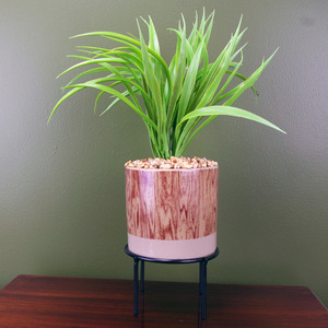 Artificial Grass Plant Contemporary Ceramic Planter and Metal Stand set