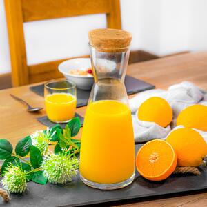 Ypsilon Glass Carafe With Cork Lid - 1.1 Litre
