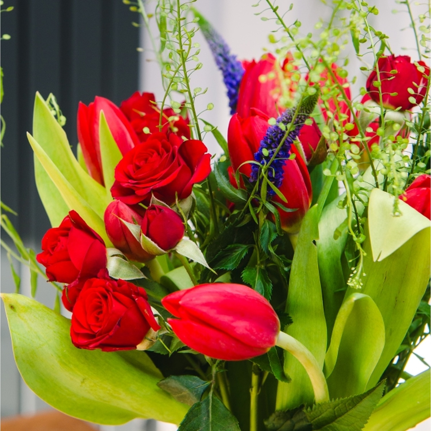 Tulipes And Roses True Love Tulips and Roses
