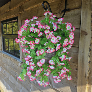 Morning Glory Trailing Flowers with Rattan Wicker Hanging Baskets