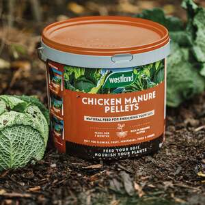 Westland Organic Chicken Manure Pellets - 2 x 8kg Bucket