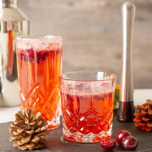 Orchestra Whiskey Tumblers and Highball Cocktail Glasses 12pc Set