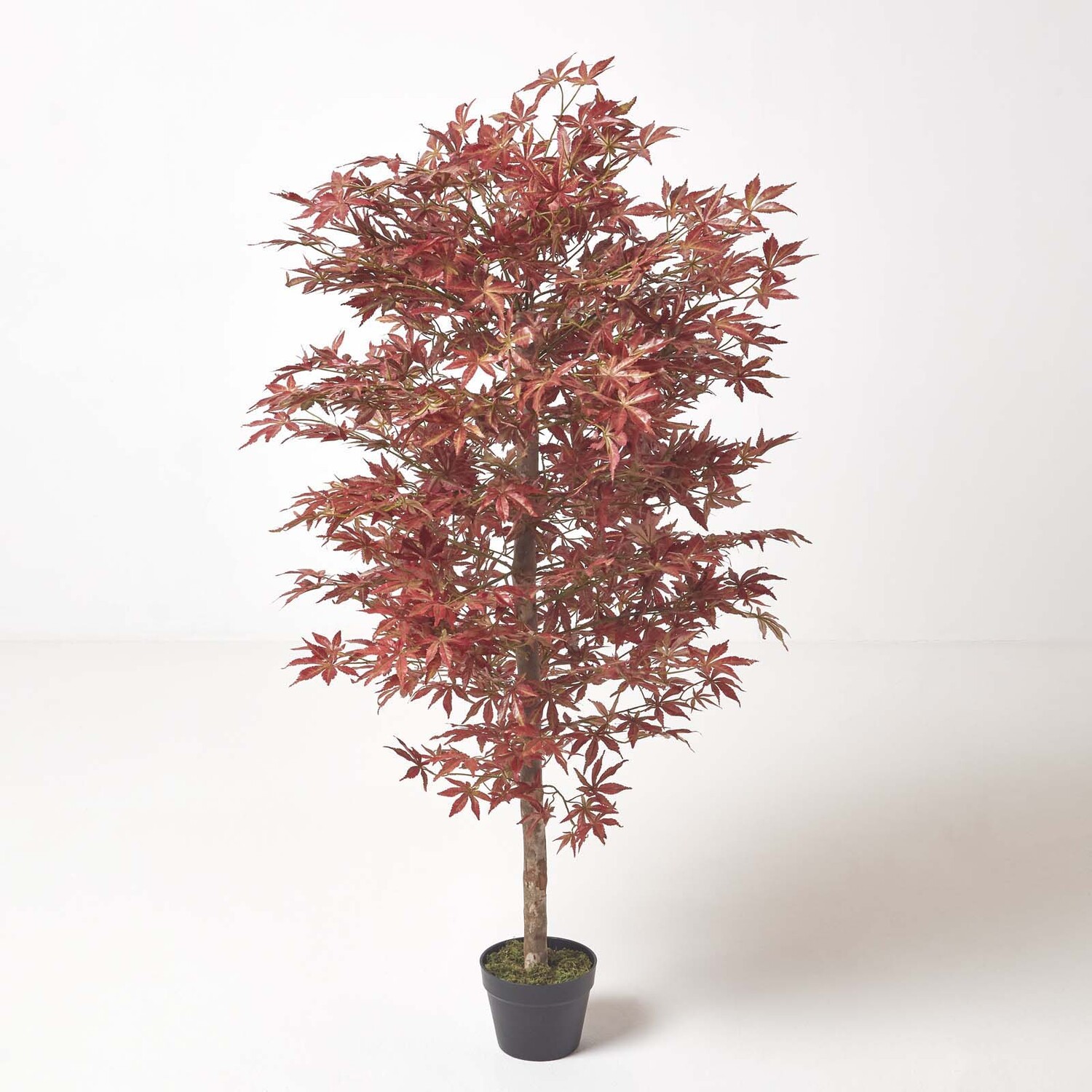 Homescapes Acer Tree in Pot, 150 cm Tall - Red