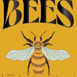 Bees A Guide for the Curious