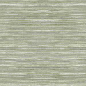 Sage Superfresco Easy Emperor Grasscloth Texture Wallpaper shot 9777737