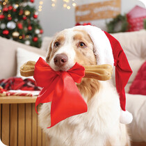 Christmas Pet Food & Treats