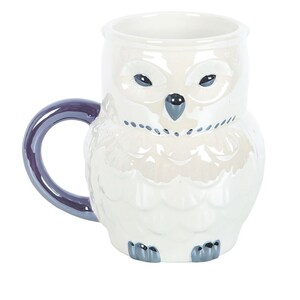 Owl Dreamer Iridescent Mug For Night Owls