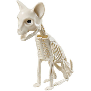 Livingandhome Spooky Cat Skeleton Figurine Bone Statue for Halloween Decor