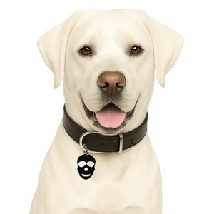 Black Skull Collar Charm
