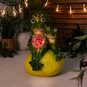 Solar Frog Family