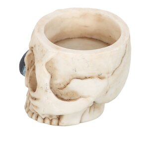 Skull Tealight Holder with Snake Haunted Home Decor Accent