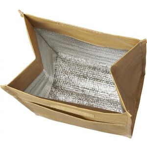 Bullet Big Clover Paper Lunch Cooler Bag