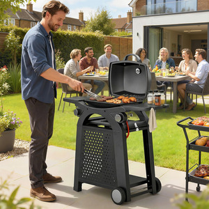 2 Burner Gas Grill with 2 Detachable Side Tables