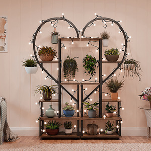 Lifeideas 6 Tier Heart Shape Plant Stand