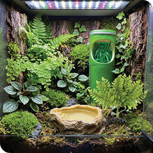 reptile decorations