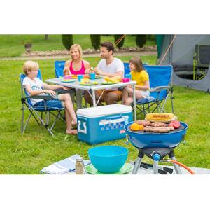 Camping Gas Grill Stove