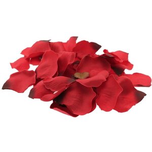 Red Rose Petal Confetti 3 Pack