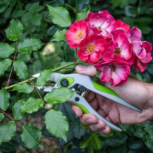 Garden Master Anvil Pruner