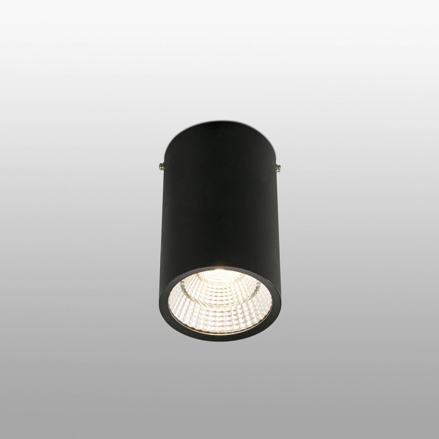Rel LED 1 Light Round Surface Mounted Downlight Black - Black / 10cm thumbnail