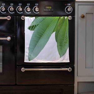 Collection Of Green Leaves On White Kitchen Towel