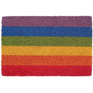 Rainbow Coir Door Mat
