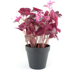 Artificial Plant Purple Shamrock Pink Flowers Potted