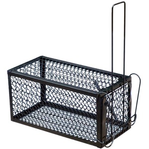 Humane Mouse Trap