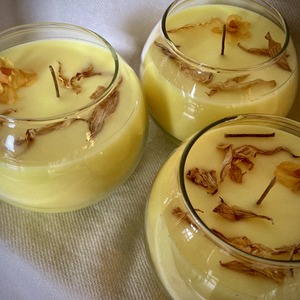 Daffodil Scented Organic Wax Bowl Candle