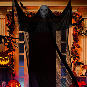 Halloween Sound Control Skeleton Ghost
