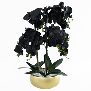 Orchid Artificial Black - Gold Ceramic Planter