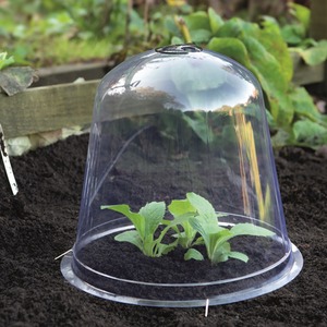  shot 6652696