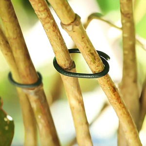 100pc Plastic Coated Plant Support Rings