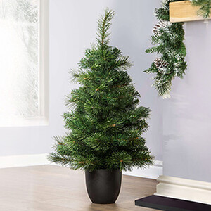 The Majestic Dew Pine Outdoor Potted Tree