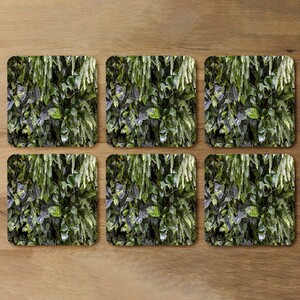 urban jungle, modern interior decoration Designer Coaster Set