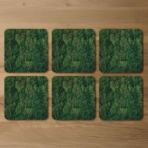 Natural green moss Designer Coaster Set