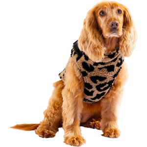  shot 12568624