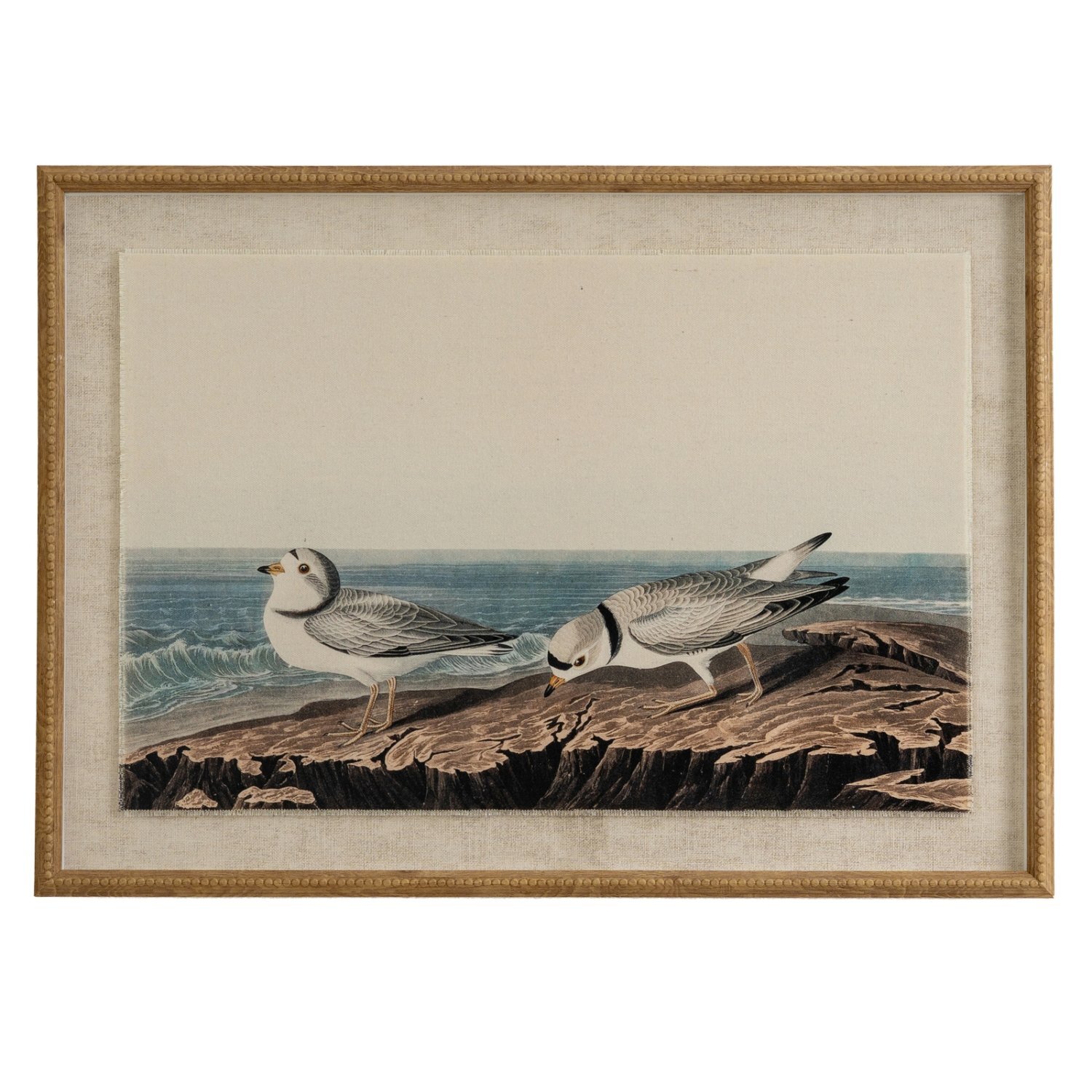 Image of Flora Fauna Plovers on Linen Wall&hellip;