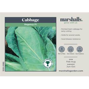 Regency F1 Pointed-Heart Cabbage Seeds