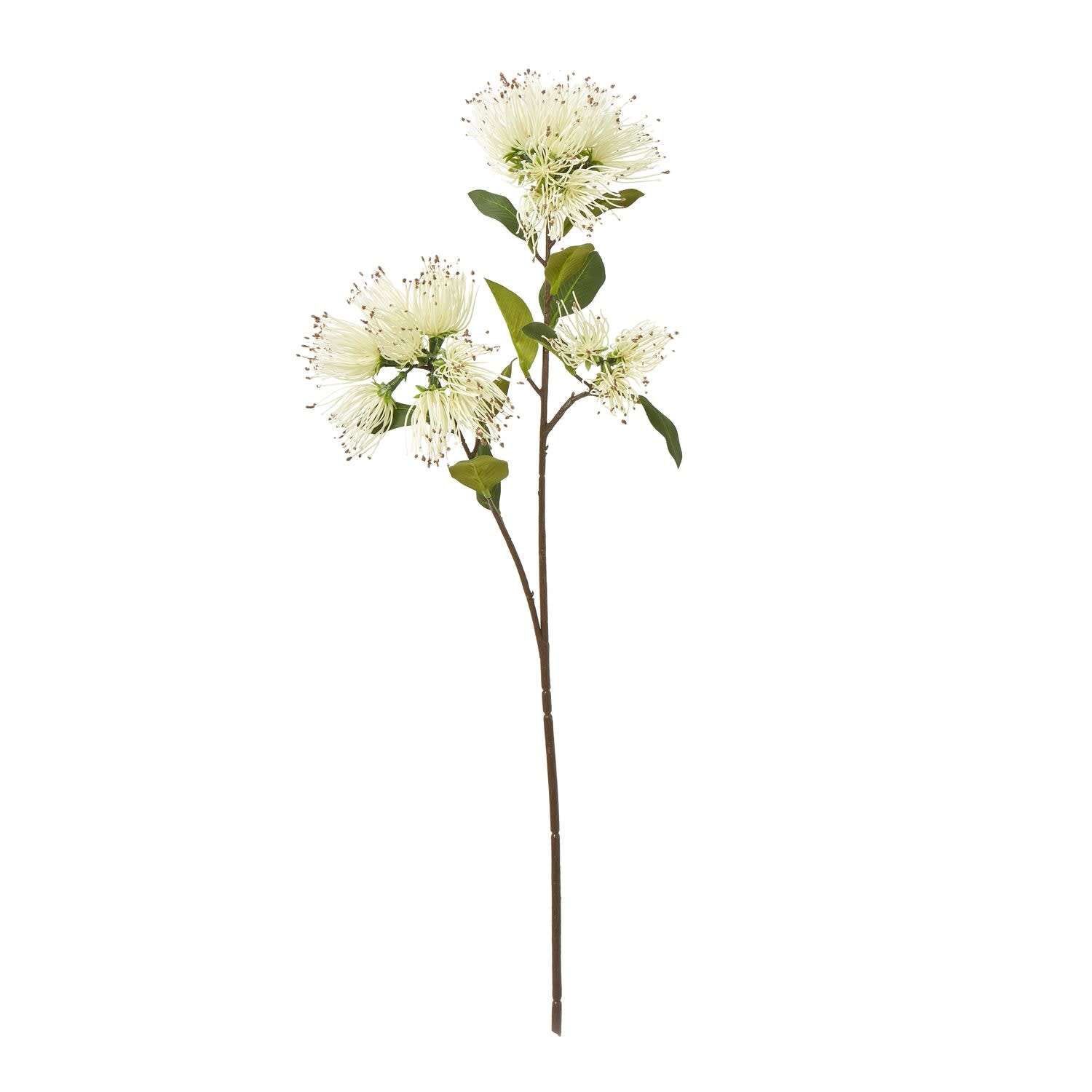 Set of 3 Protea Nitida Artificial Flower Sprays Tall Faux Protea Stems - Cream