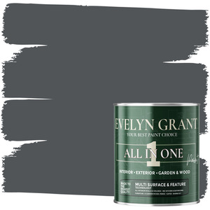 Anthracite Grey / 1l All-in-One Matt Paint and Primer shot 14200154