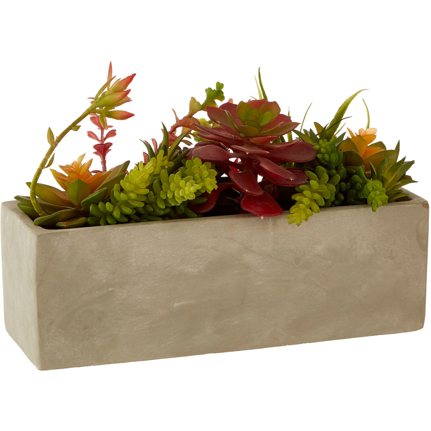 Fiori Mixed Succulents With Cement Pot - Multicolour