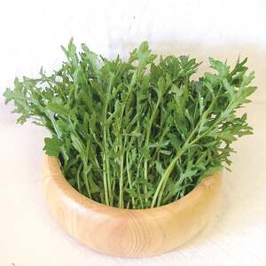 Unwins Rocket Seeds Astra