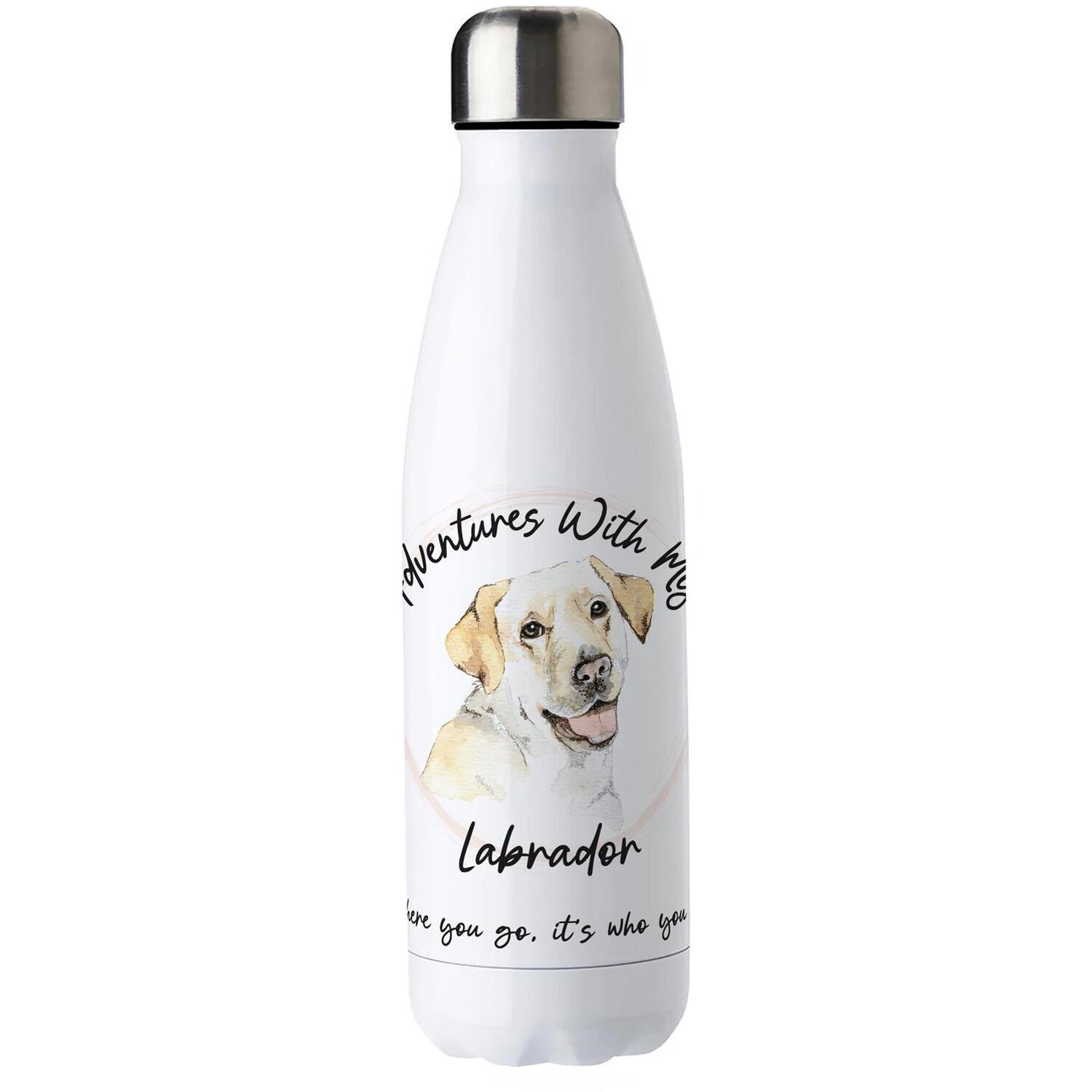 B&Q - Adventures With My Labrador Metal Water BottleDouble Walled 500Ml Hot/cold Drinks Bottle Outdoor Dog Gifts - Image 2