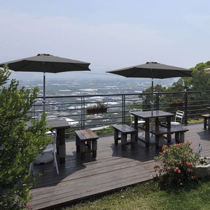  shot 865560