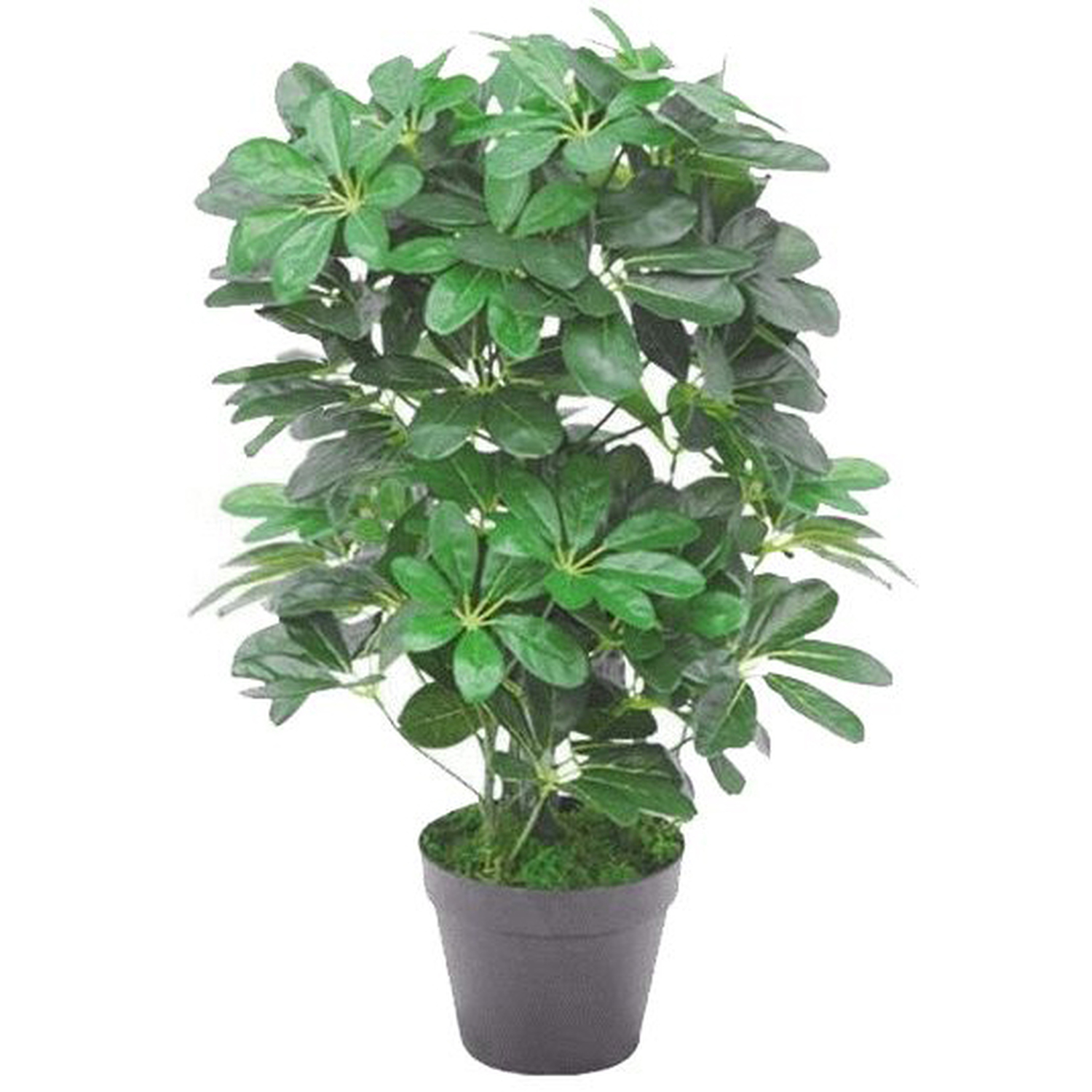 Dark Green Artificial Schefflera Arboricola Bush - Green