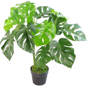 Artificial Plant - Monstera