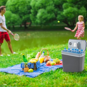 Electric Cooler Box With ECO Mode Anthracite