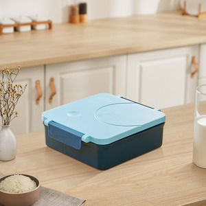 Bento Box with Stainless Steel Bowl